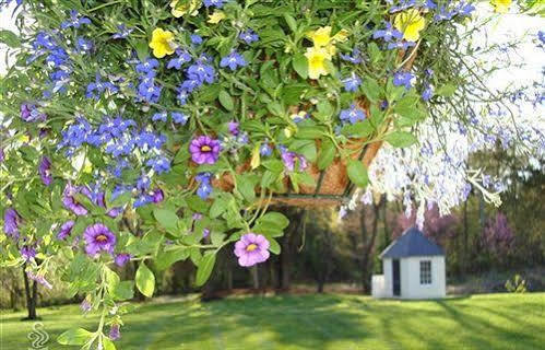 Chestnut Hill Bed & Breakfast Orange Εξωτερικό φωτογραφία